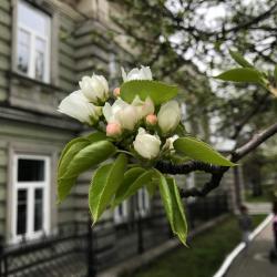 Фото Отель Доходный дом Листратовой