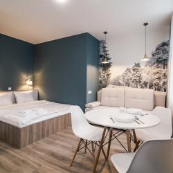 Фото Отель Романов