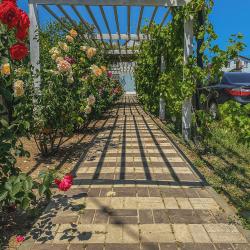 Фото Отель Южные ночи