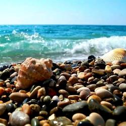 Фото Отель Атлант