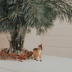 Фото Отель Старый