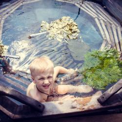 Фото Парк-Отель Березка