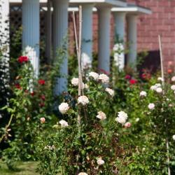 Фото Отель Ривьера