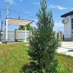 Фото Отель Коттедж Скандинавия Анапа