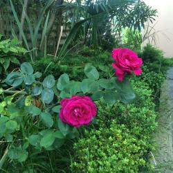 Фото Отель Гости