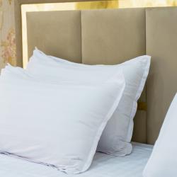 Фото Отель Ayniy (Aйний)