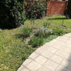 Фото Отель Аллюр