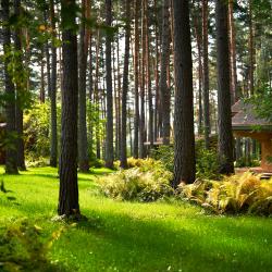 Фото Отель Grand Chalet Altay ZONT Hotel Group (Гранд Шале Алтай)