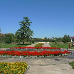 Фото Отель Солнечный