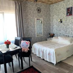 Фото Отель Камелия