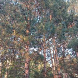 1-комнатные апартаменты стандарт Мичурино, ул. Речной переулок, 34