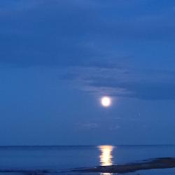 Фото Апартаменты на улице Гагарина 152