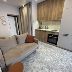 1-комнатные апартаменты студия