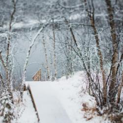 Фото Отель Оленья