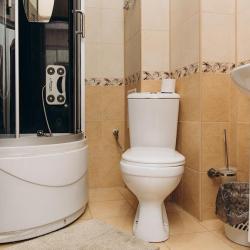 Фото Отель Фламинго