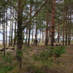 Фото Отель Сёрф-станция Wind Hunters Station (Винд Хайнтерс Стейшен)