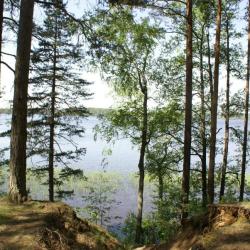 Фото Эко-отель Лес