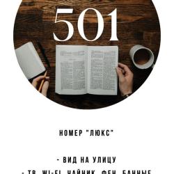 Номер люкс с 1 двуспальной кроватью #501