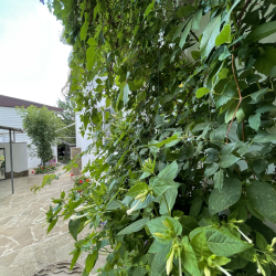 Фото Отель Nicole (Николь)