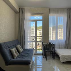 1-комнатные апартаменты студия