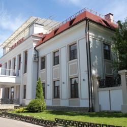 Фото Отель Боровница