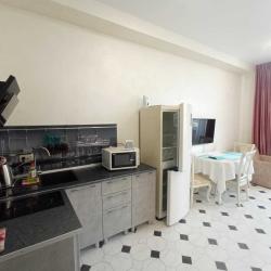 1-комнатные апартаменты студия 2.3