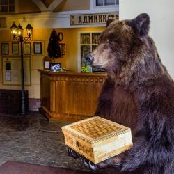 Фото Отель Купеческий