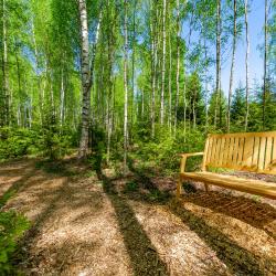 Фото Отель След Лося