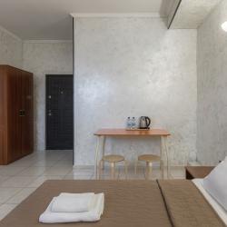 Номер полулюкс с 1 двуспальной кроватью