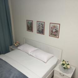 Фото Пятница Апартаменты на улице Гагарина 15