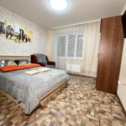 Апартаменты стандарт с двуспальной кроватью и креслом диваном