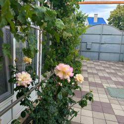 Фото Отель Гармония