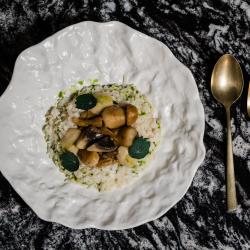 Фото Отель Вилла Италия