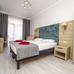 2-местный номер комфорт (вид на парк)