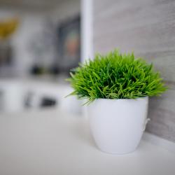 Фото Отель Kaminn apartments на улице Кавказская 32