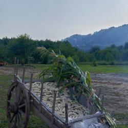 Фото Отель Garuda Glamping Abkhazia (Гаруда Глэмпинг Абхазия)
