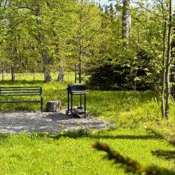 Фото Отель Медовое Форест