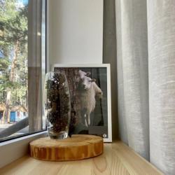 Фото Отель Лиcичкинhousе на улице Балкарская 21с4