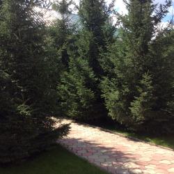 Номер люкс