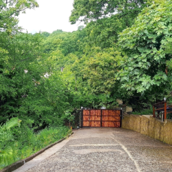 Фото Отель Оранжевое Солнце