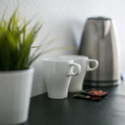 2-местный номер стандарт с 1 двуспальной кроватью