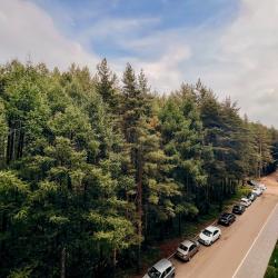 1-комнатные апартаменты стандарт