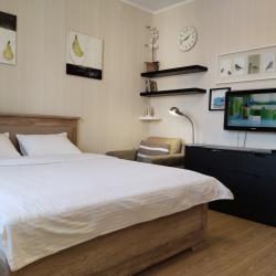 Фото Апартаменты на проспекте Ленина 131