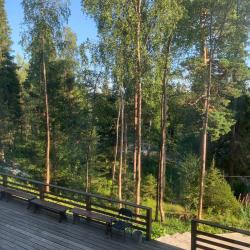 Номер комфорт улучшенный