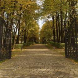 Фото Отель Санаторий Введенское