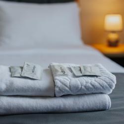 Фото Отель Орион