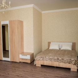 Номер стандарт с 1 двуспальной кроватью