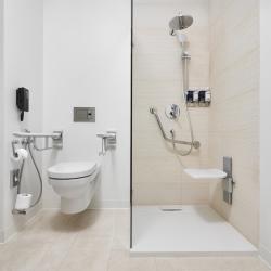 Номер Suite Disability Access