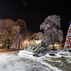 Фото Отель Лель