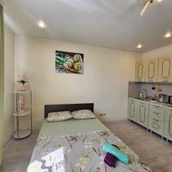 1-комнатные апартаменты студия